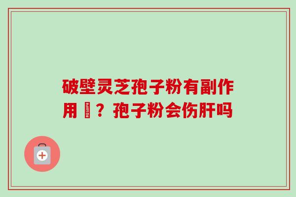 破壁灵芝孢子粉有副作用嗎？孢子粉会伤肝吗