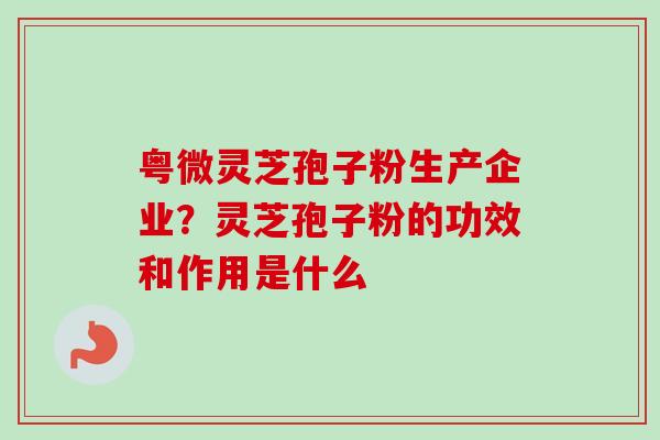 粤微灵芝孢子粉生产企业？灵芝孢子粉的功效和作用是什么
