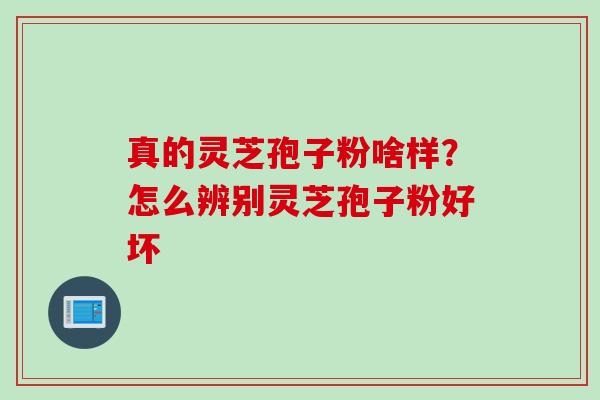 真的灵芝孢子粉啥样？怎么辨别灵芝孢子粉好坏