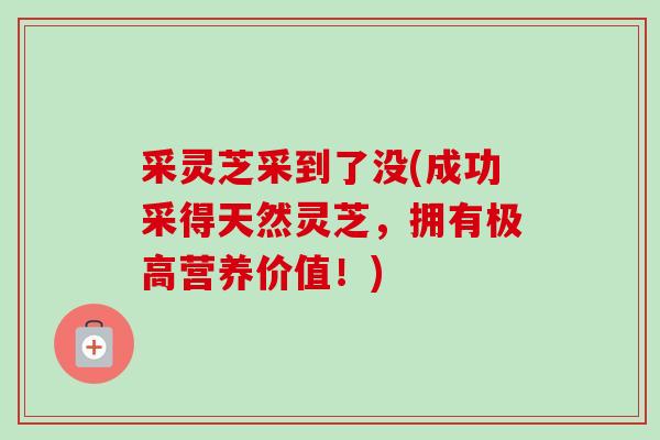 采灵芝采到了没(成功采得天然灵芝，拥有极高营养价值！)