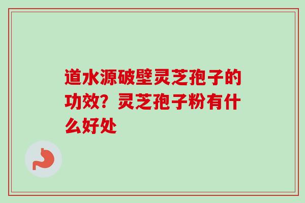 道水源破壁灵芝孢子的功效?灵芝孢子粉有什么好处 道水源破壁灵芝孢子的功效?灵芝孢子粉有什么好处