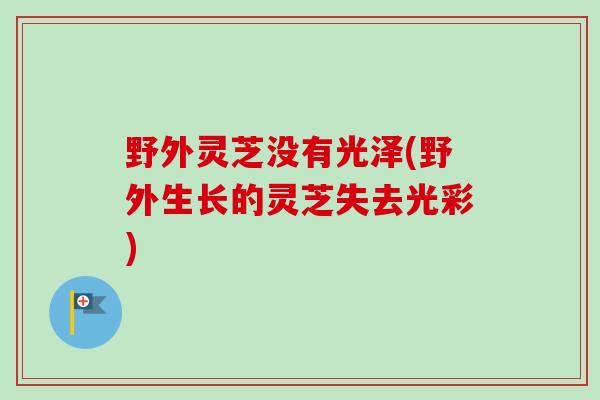 野外灵芝没有光泽(野外生长的灵芝失去光彩)