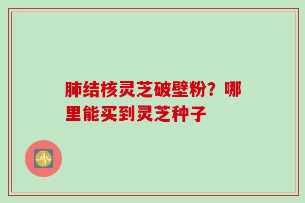 肺结核灵芝破壁粉？哪里能买到灵芝种子