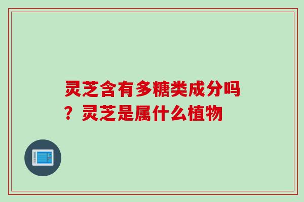 灵芝含有多糖类成分吗？灵芝是属什么植物