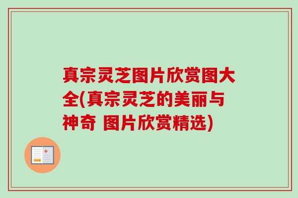 真宗灵芝图片欣赏图大全(真宗灵芝的美丽与神奇 图片欣赏精选) 真宗灵芝图片欣赏图大全(真宗灵芝的美丽与神奇 图片欣赏精选)