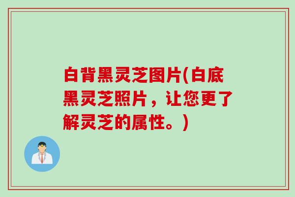 白背黑灵芝图片(白底黑灵芝照片,让您更了解灵芝的属性。) 白背黑灵芝图片(白底黑灵芝照片,让您更了解灵芝的属性。)