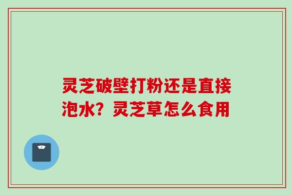 灵芝破壁打粉还是直接泡水？灵芝草怎么食用