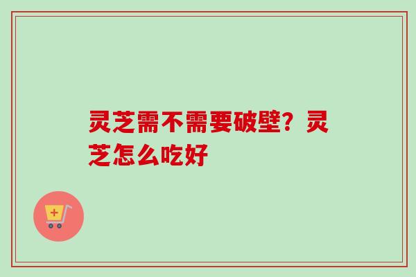 灵芝需不需要破壁？灵芝怎么吃好