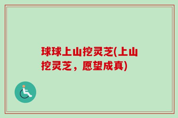 球球上山挖灵芝(上山挖灵芝，愿望成真)
