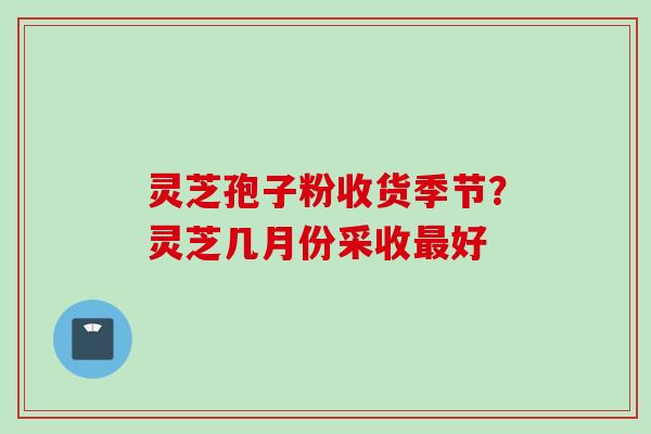灵芝孢子粉收货季节？灵芝几月份采收最好