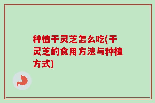 种植干灵芝怎么吃(干灵芝的食用方法与种植方式)