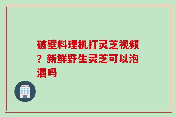 破壁料理机打灵芝视频？新鲜野生灵芝可以泡酒吗