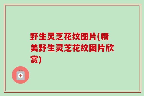 野生灵芝花纹图片(精美野生灵芝花纹图片欣赏)