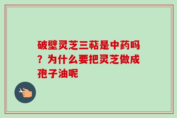 破壁灵芝三萜是中药吗？为什么要把灵芝做成孢子油呢