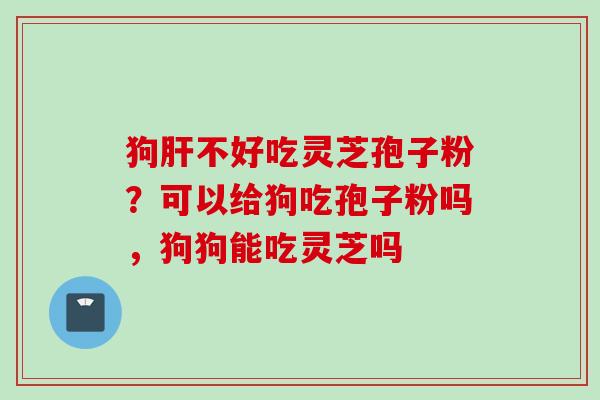 狗肝不好吃灵芝孢子粉？可以给狗吃孢子粉吗，狗狗能吃灵芝吗