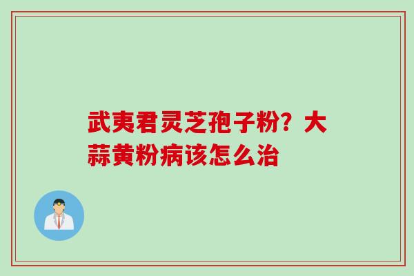 武夷君灵芝孢子粉？大蒜黄粉病该怎么治