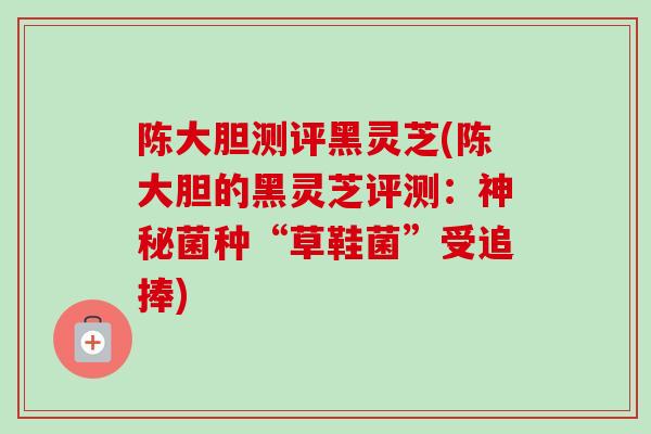 陈大胆测评黑灵芝(陈大胆的黑灵芝评测：神秘菌种“草鞋菌”受追捧)