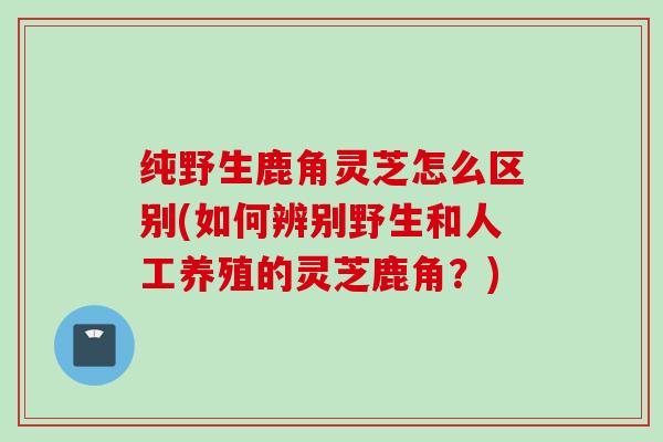 纯野生鹿角灵芝怎么区别(如何辨别野生和人工养殖的灵芝鹿角？)