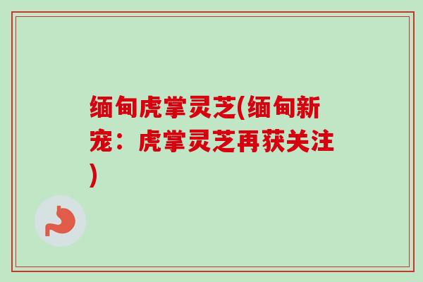 缅甸虎掌灵芝(缅甸新宠：虎掌灵芝再获关注)