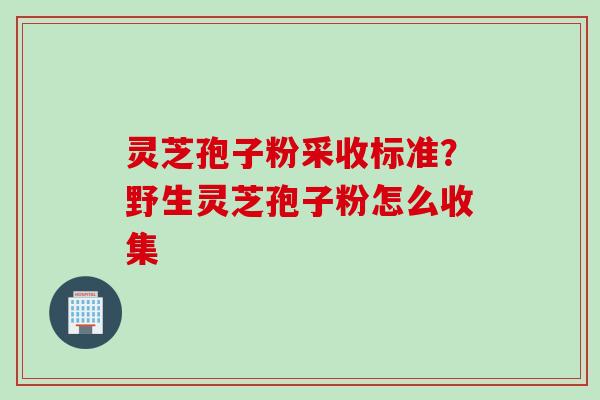 灵芝孢子粉采收标准？野生灵芝孢子粉怎么收集