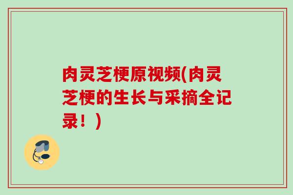肉灵芝梗原视频(肉灵芝梗的生长与采摘全记录！)