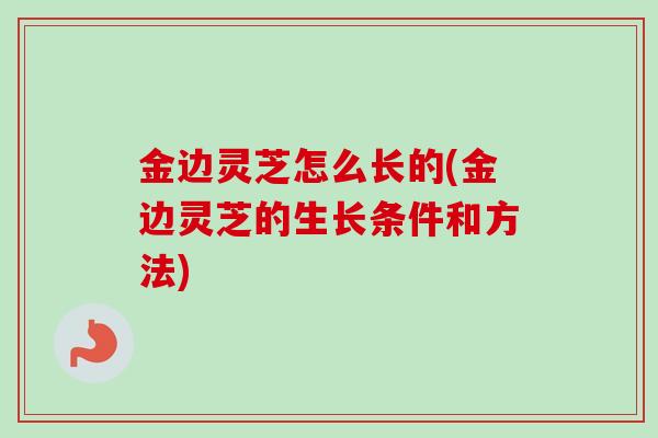 金边灵芝怎么长的(金边灵芝的生长条件和方法)