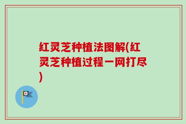 红灵芝种植法图解(红灵芝种植过程一网打尽)