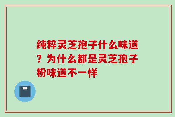 纯粹灵芝孢子什么味道?为什么都是灵芝孢子粉味道不一样 纯粹灵芝孢子什么味道?为什么都是灵芝孢子粉味道不一样