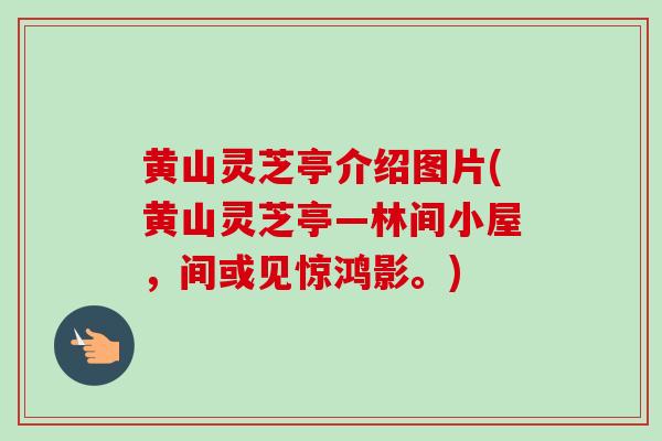 黄山灵芝亭介绍图片(黄山灵芝亭—林间小屋，间或见惊鸿影。)
