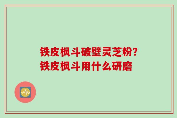 铁皮枫斗破壁灵芝粉？铁皮枫斗用什么研磨