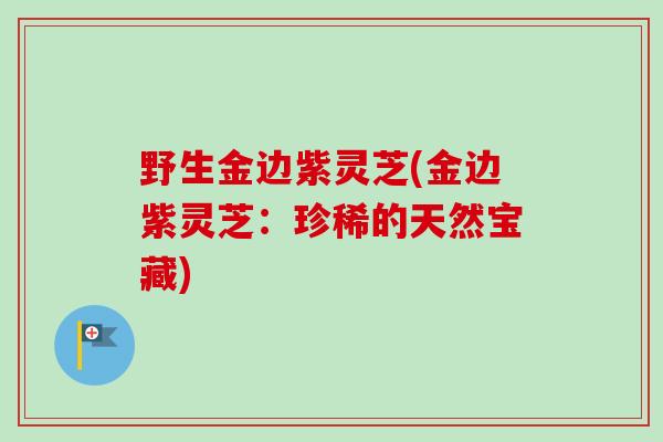 野生金边紫灵芝(金边紫灵芝：珍稀的天然宝藏)