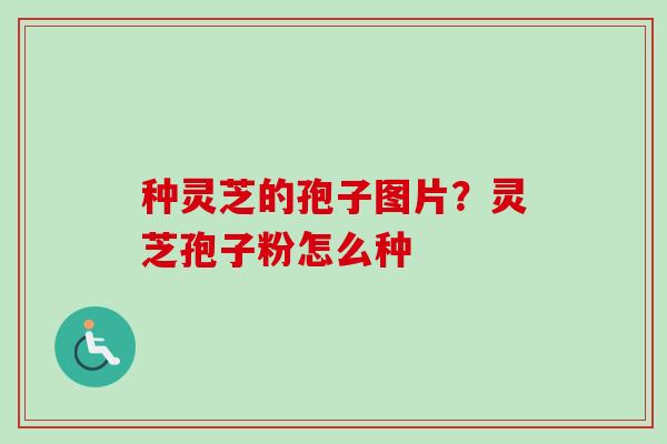 种灵芝的孢子图片？灵芝孢子粉怎么种