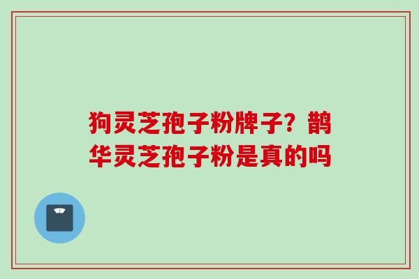 狗灵芝孢子粉牌子？鹊华灵芝孢子粉是真的吗
