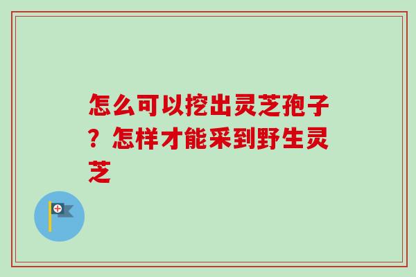 怎么可以挖出灵芝孢子？怎样才能采到野生灵芝