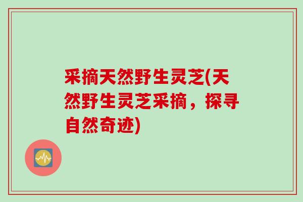 采摘天然野生灵芝(天然野生灵芝采摘，探寻自然奇迹)