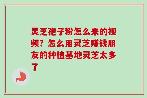 灵芝孢子粉怎么来的视频？怎么用灵芝赚钱朋友的种植基地灵芝太多了