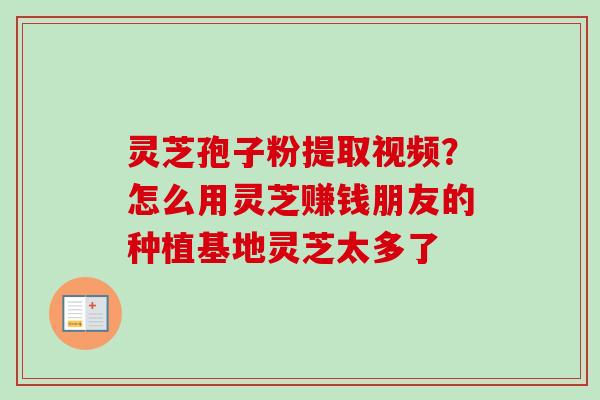 灵芝孢子粉提取视频？怎么用灵芝赚钱朋友的种植基地灵芝太多了