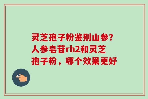 灵芝孢子粉鉴别山参？人参皂苷rh2和灵芝孢子粉，哪个效果更好