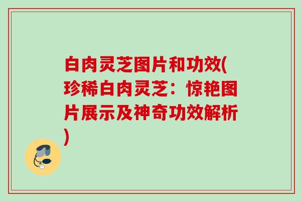白肉灵芝图片和功效(珍稀白肉灵芝：惊艳图片展示及神奇功效解析)