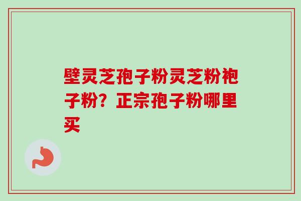壁灵芝孢子粉灵芝粉袍子粉？正宗孢子粉哪里买