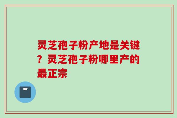 灵芝孢子粉产地是关键？灵芝孢子粉哪里产的最正宗