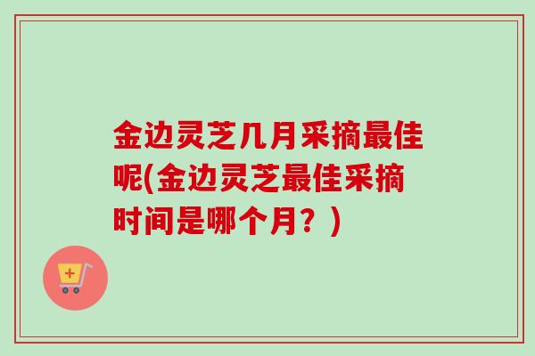 金边灵芝几月采摘最佳呢(金边灵芝最佳采摘时间是哪个月？)