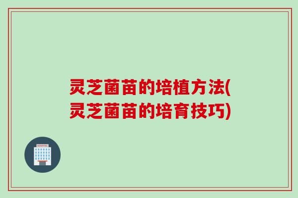 灵芝菌苗的培植方法(灵芝菌苗的培育技巧)