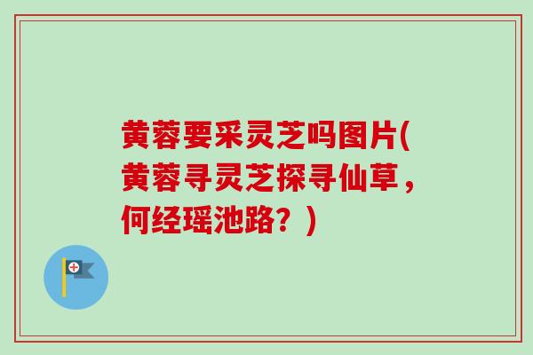 黄蓉要采灵芝吗图片(黄蓉寻灵芝探寻仙草，何经瑶池路？)
