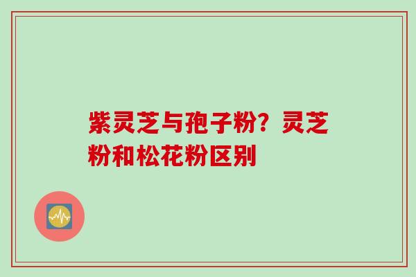 紫灵芝与孢子粉？灵芝粉和松花粉区别