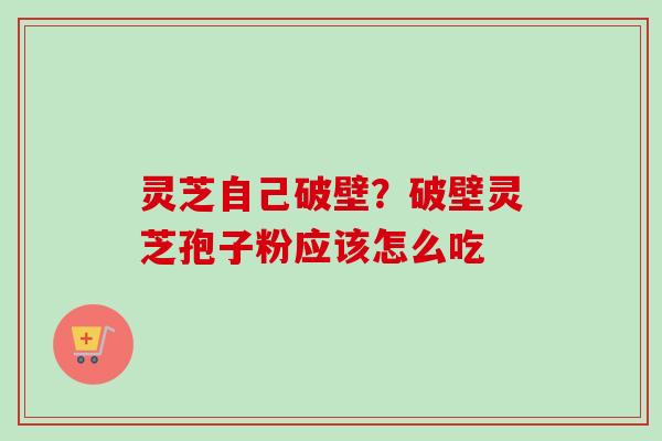 灵芝自己破壁？破壁灵芝孢子粉应该怎么吃