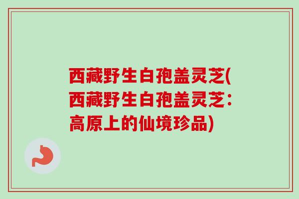 西藏野生白孢盖灵芝(西藏野生白孢盖灵芝：高原上的仙境珍品)