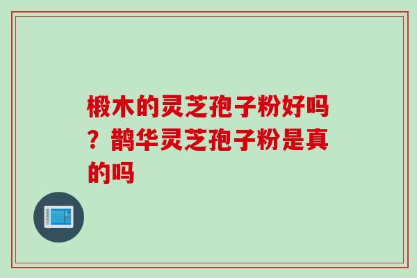 椴木的灵芝孢子粉好吗？鹊华灵芝孢子粉是真的吗