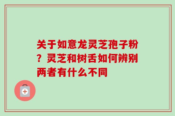 关于如意龙灵芝孢子粉？灵芝和树舌如何辨别两者有什么不同