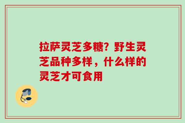 拉萨灵芝多糖？野生灵芝品种多样，什么样的灵芝才可食用